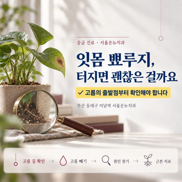 잇몸 뾰루지, 터지면 괜찮은데 왜 또 생길까요? 고름의 출발점을 확인해야 합니다 - 서울온뉴치과 원장 칼럼